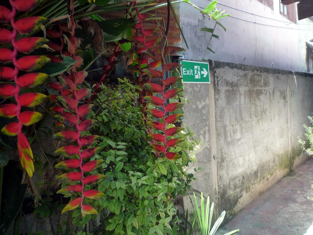 Noom Guesthouse Lop Buri المظهر الخارجي الصورة